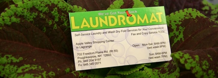 Laundry Card In Plant Min (1)